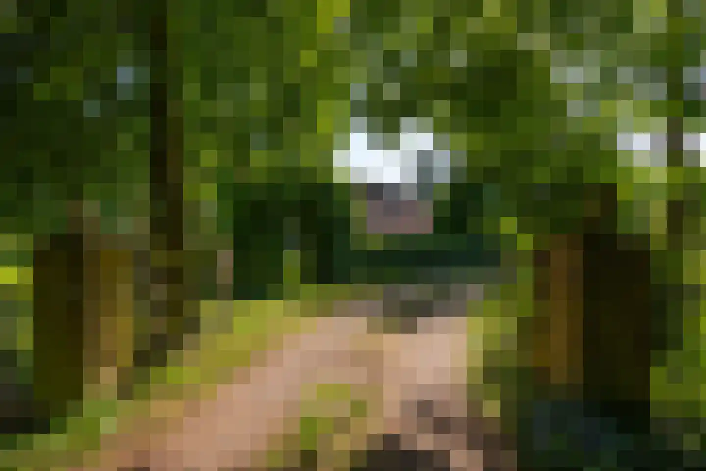 Jufferdijk 5 Harfsen thumbnail 41