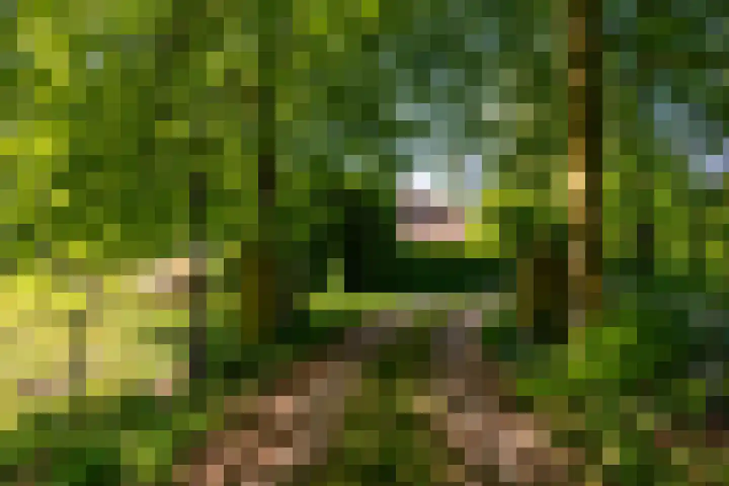 Jufferdijk 5 Harfsen thumbnail 42