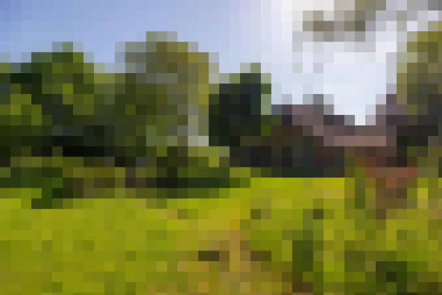 Jufferdijk 5 Harfsen thumbnail 43
