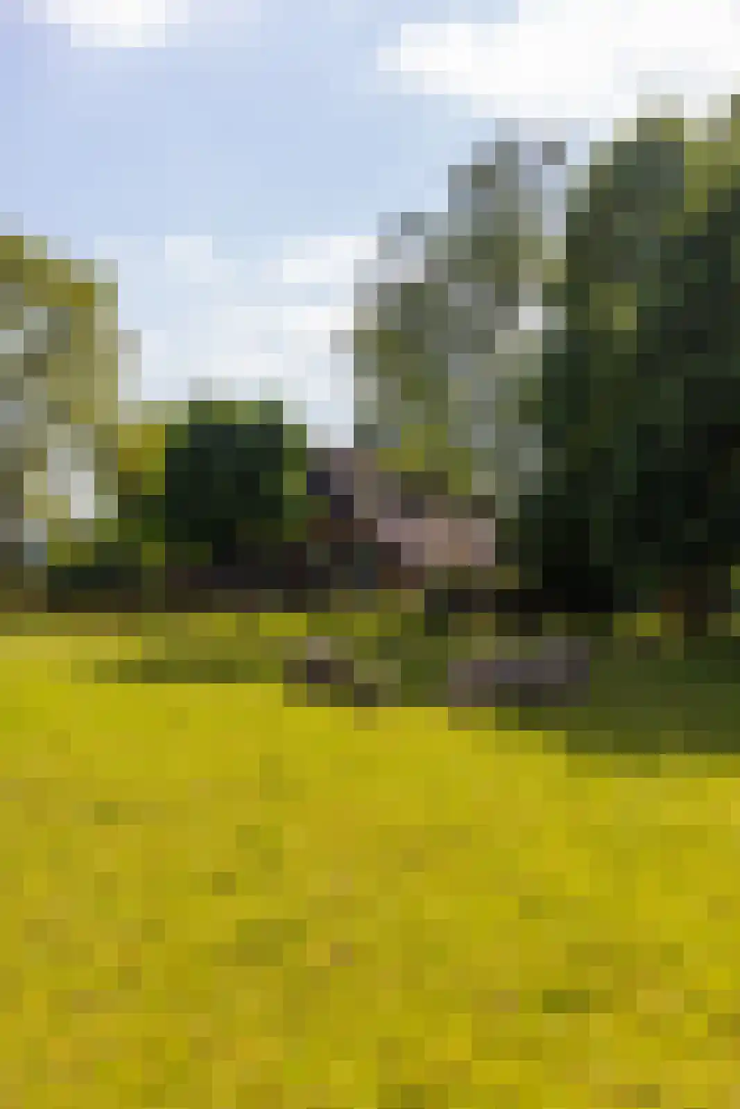 Jufferdijk 5 Harfsen thumbnail 44
