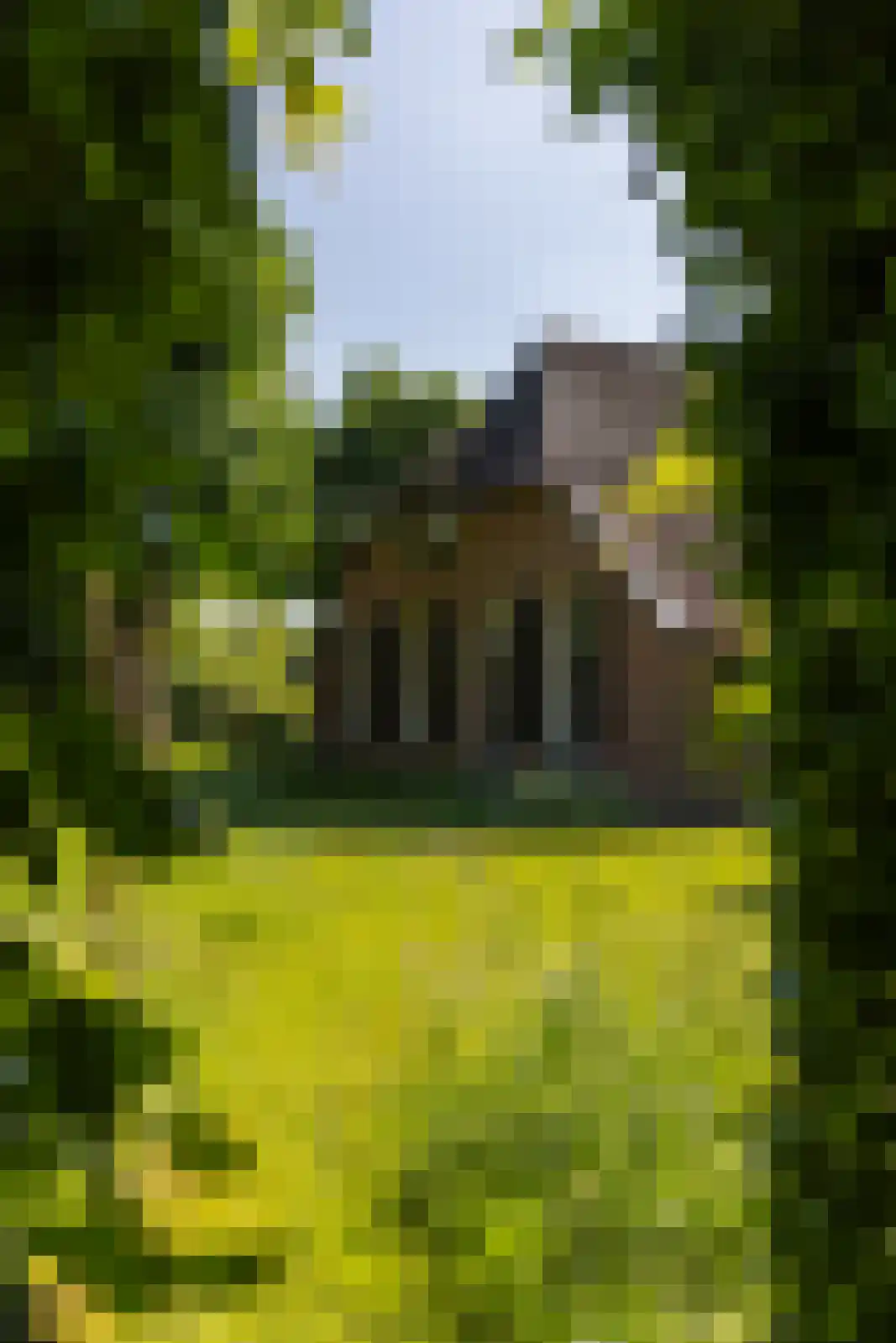 Jufferdijk 5 Harfsen thumbnail 47
