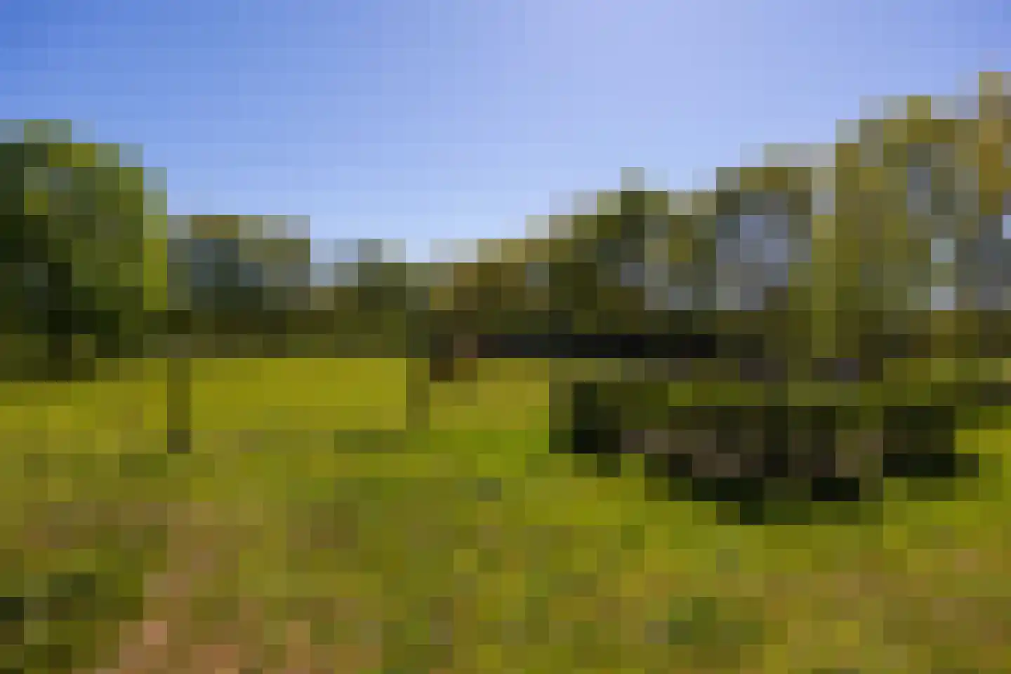Jufferdijk 5 Harfsen thumbnail 49