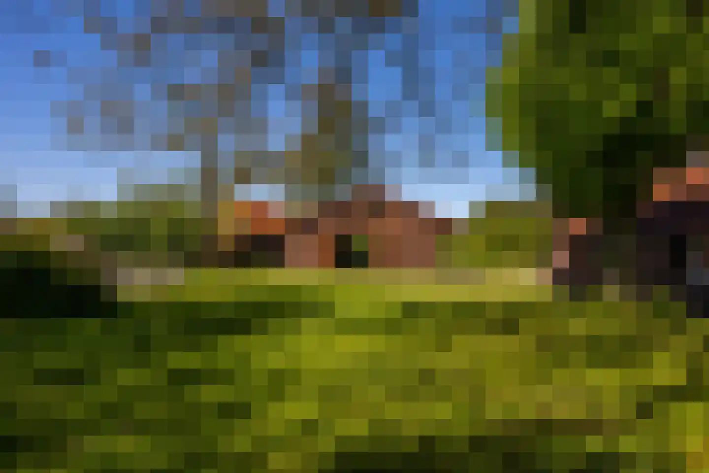 Jufferdijk 5 Harfsen thumbnail 5
