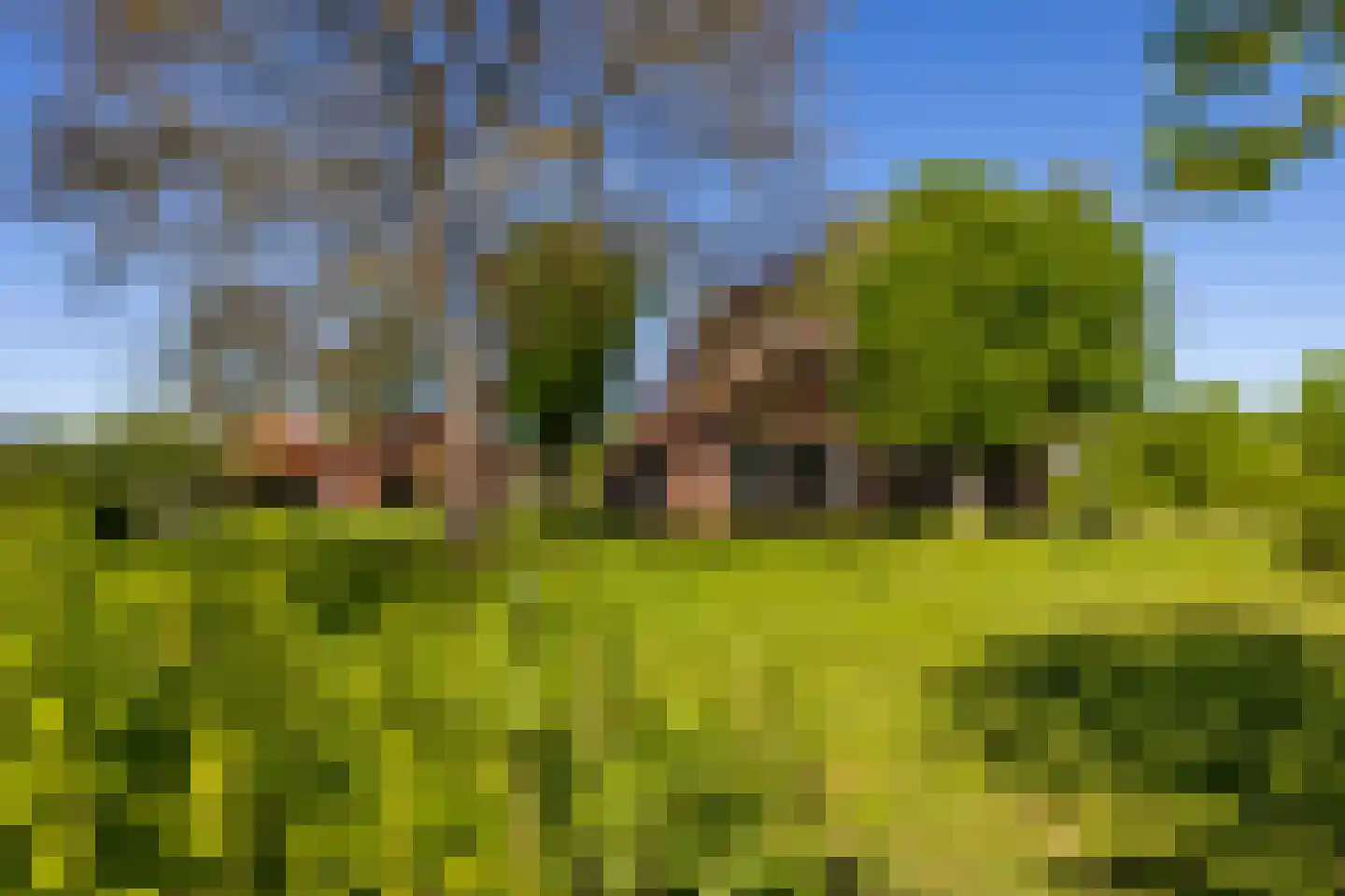 Jufferdijk 5 Harfsen thumbnail 50