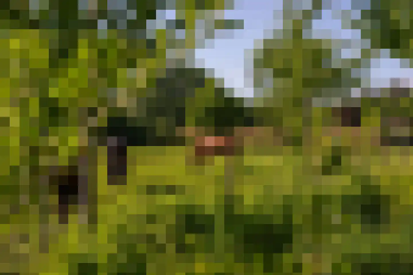 Jufferdijk 5 Harfsen thumbnail 51