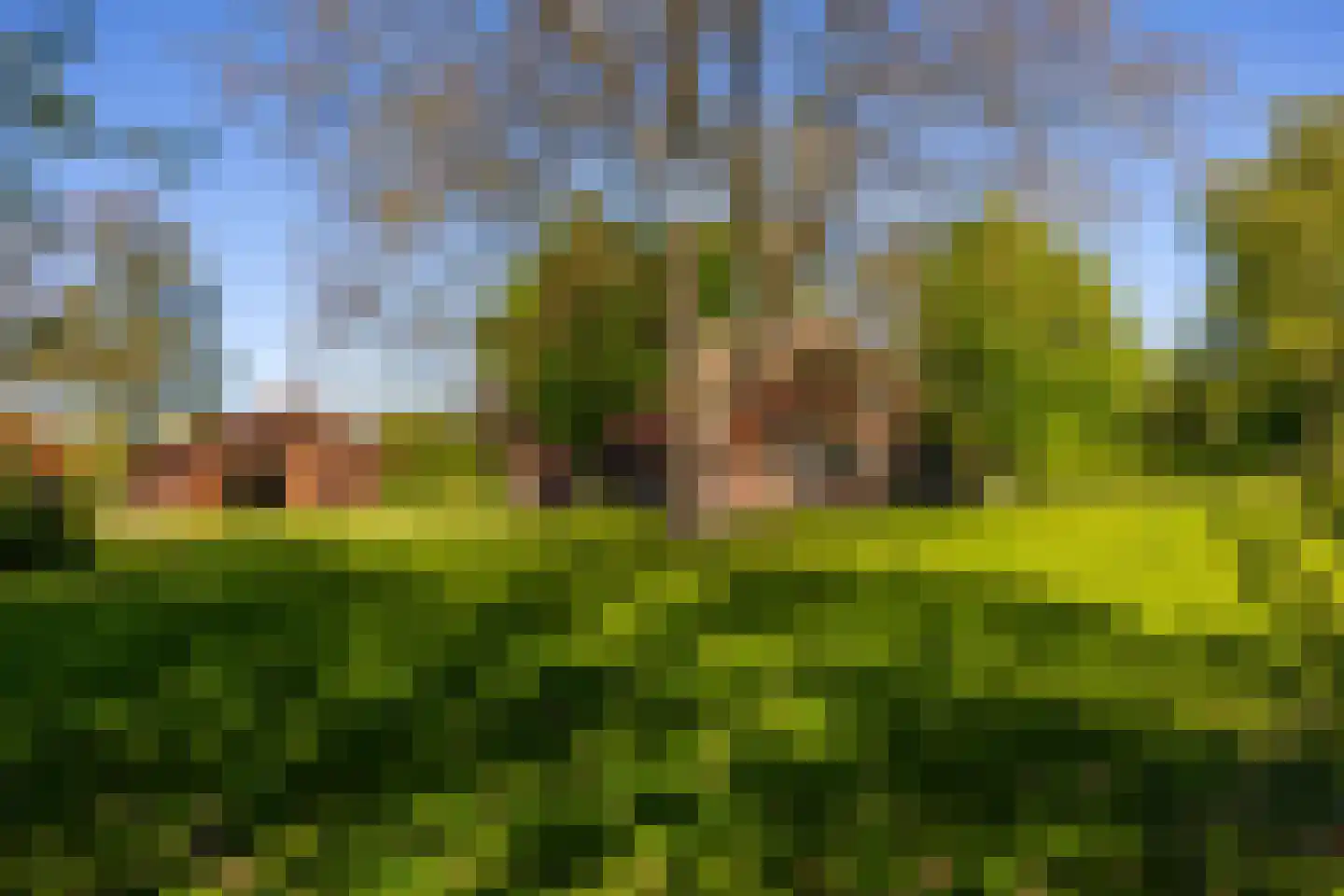 Jufferdijk 5 Harfsen thumbnail 55