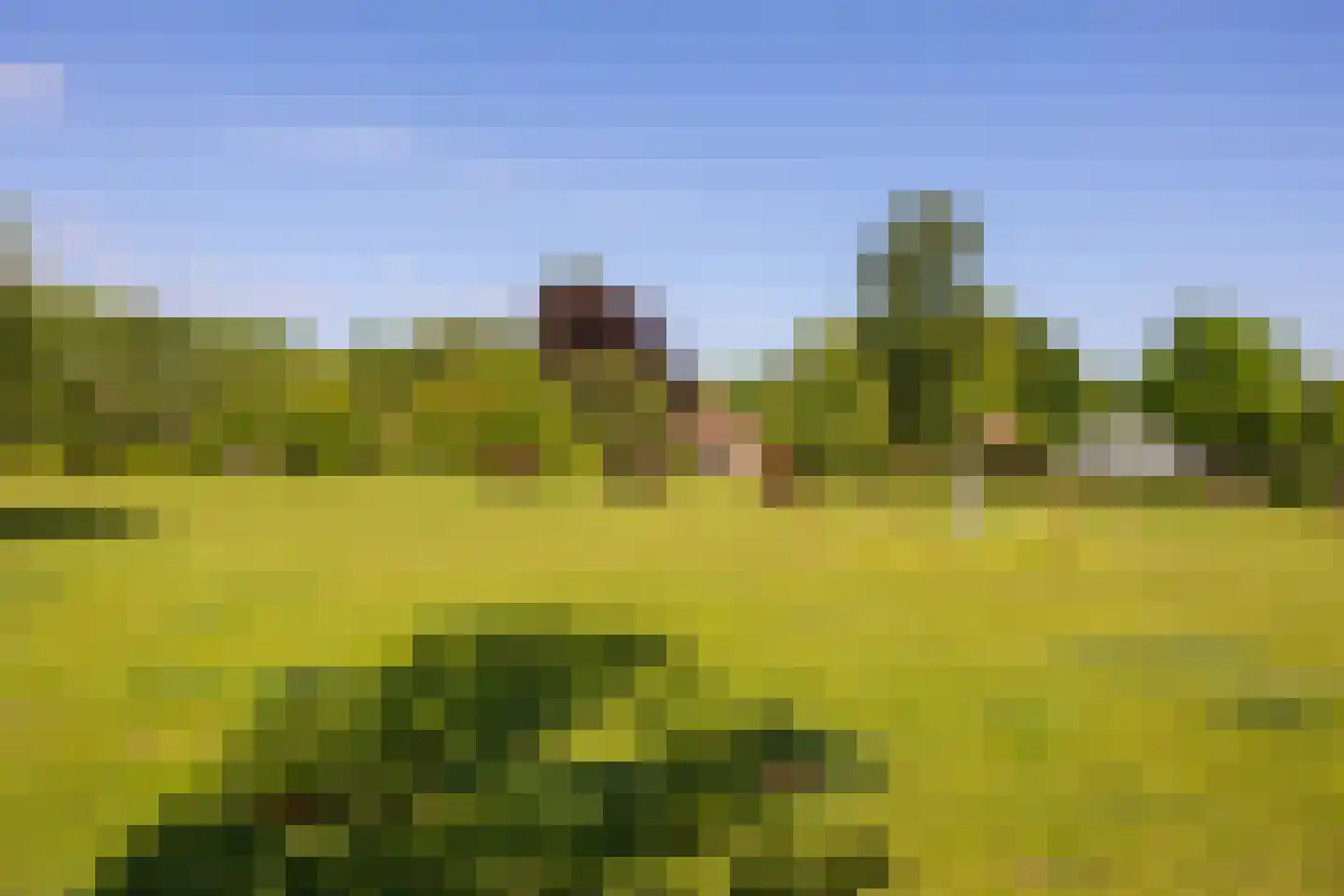 Jufferdijk 5 Harfsen thumbnail 56