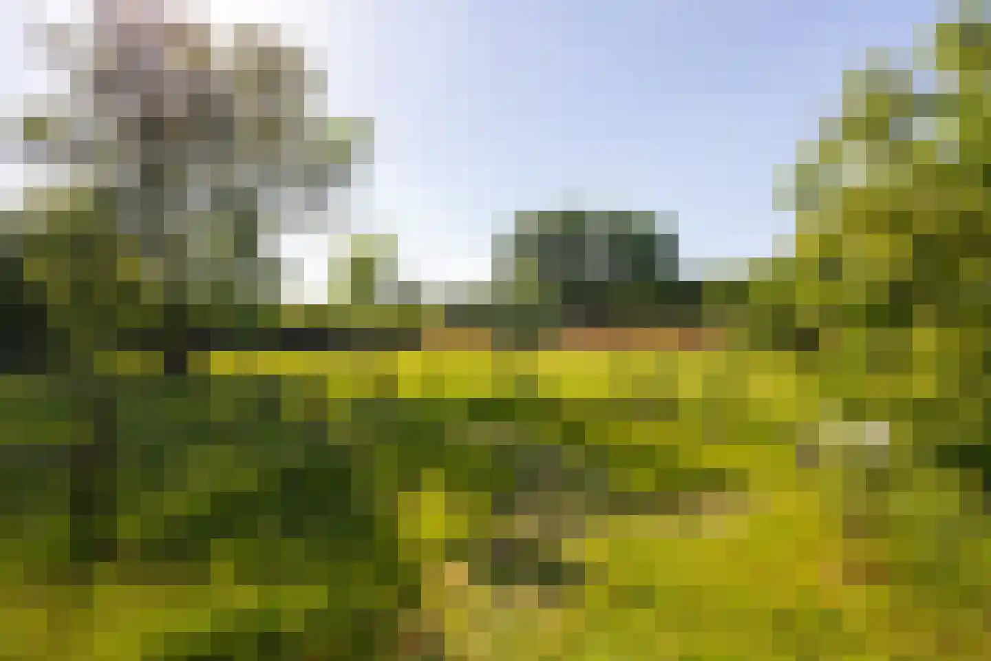 Jufferdijk 5 Harfsen thumbnail 57