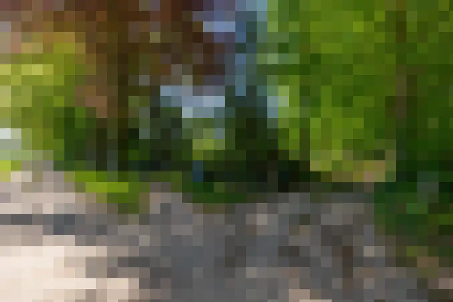 Jufferdijk 5 Harfsen thumbnail 59