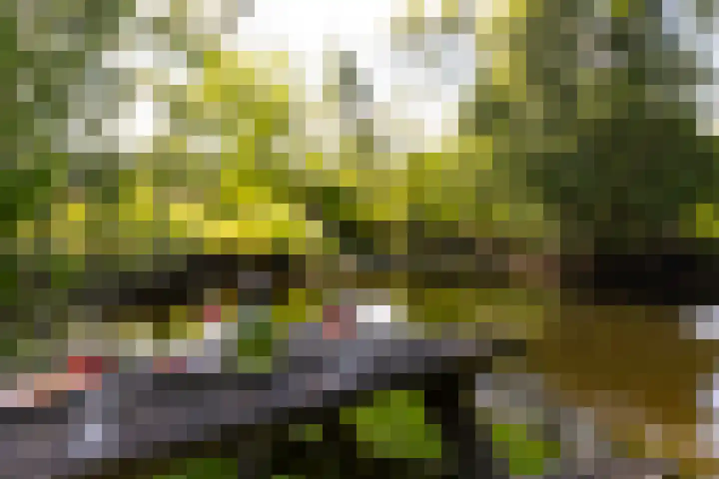Jufferdijk 5 Harfsen thumbnail 60