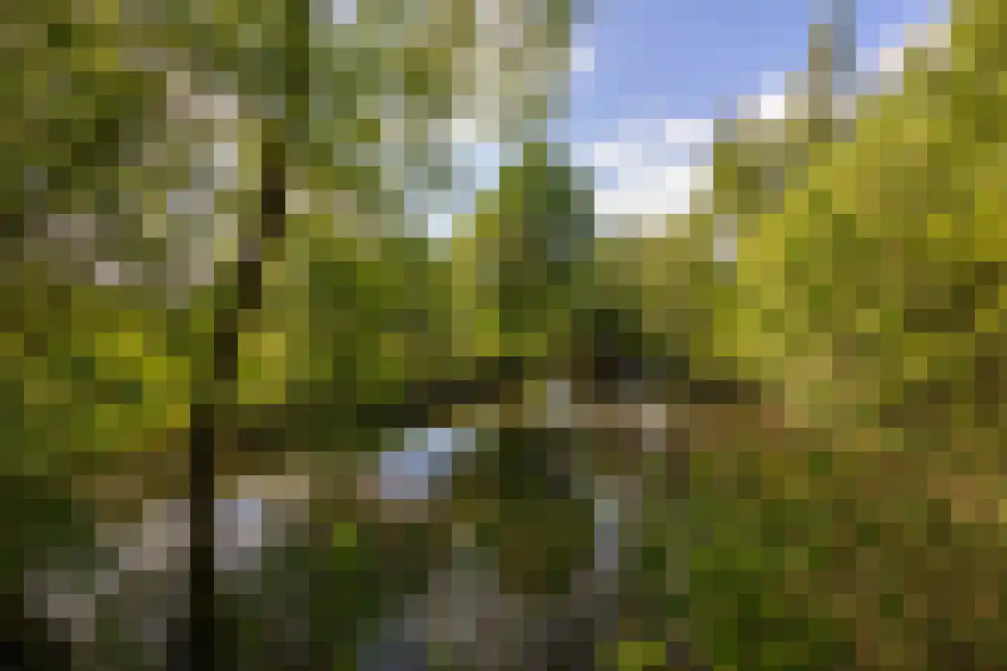 Jufferdijk 5 Harfsen thumbnail 61