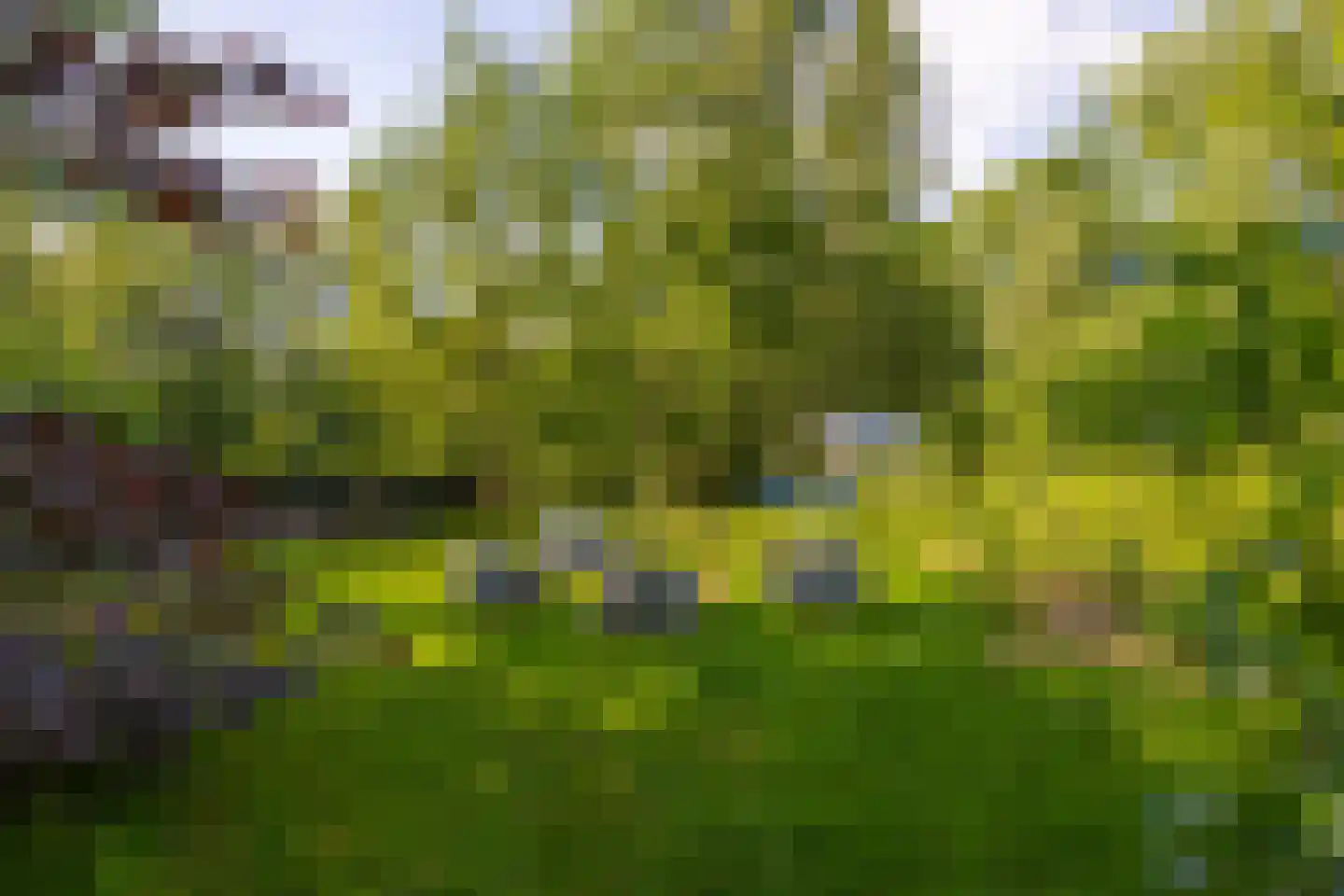 Jufferdijk 5 Harfsen thumbnail 62