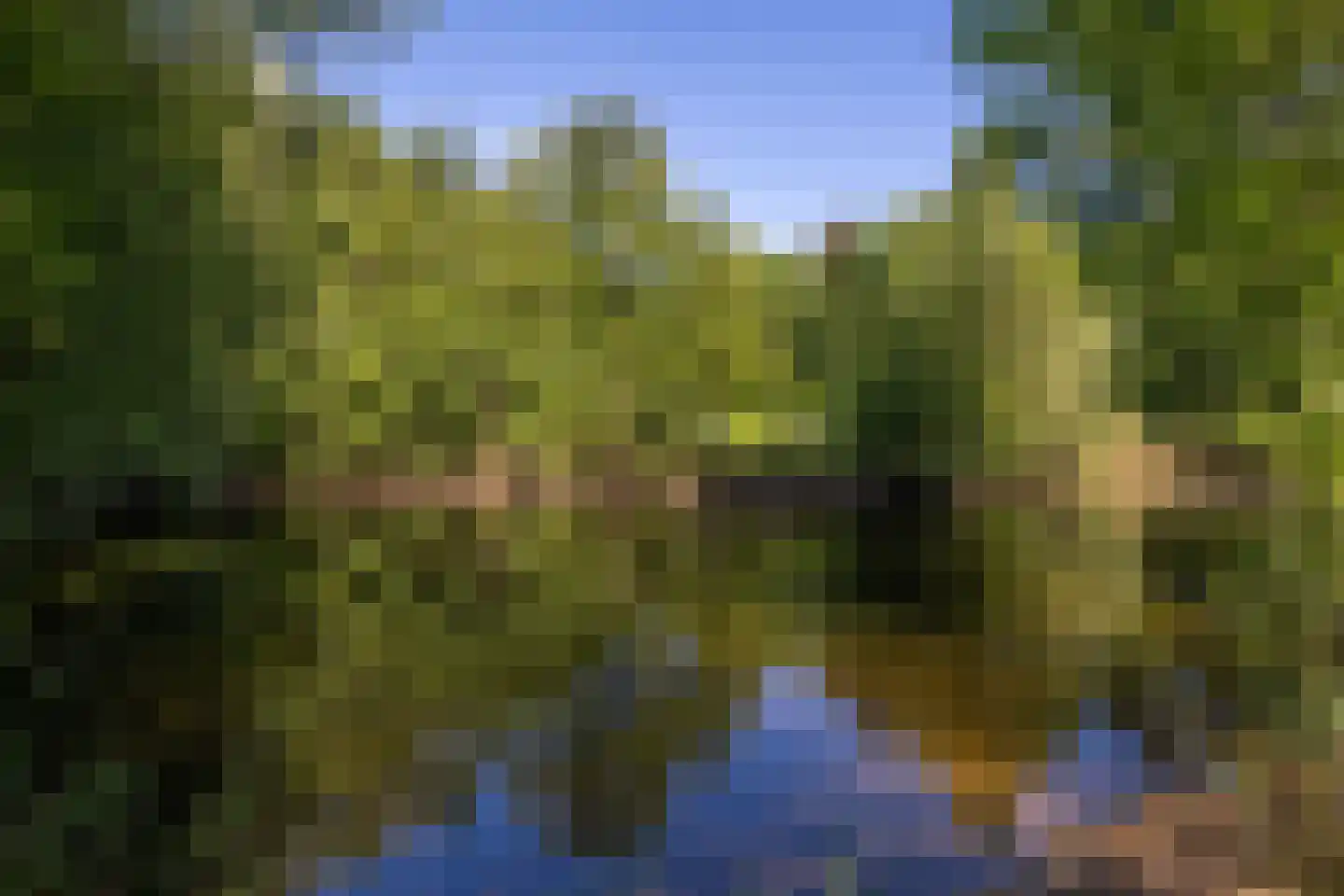 Jufferdijk 5 Harfsen thumbnail 63
