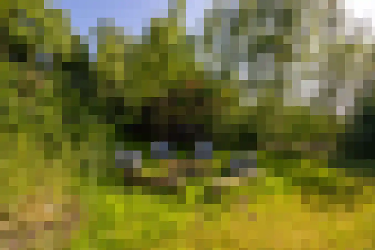 Jufferdijk 5 Harfsen thumbnail 64