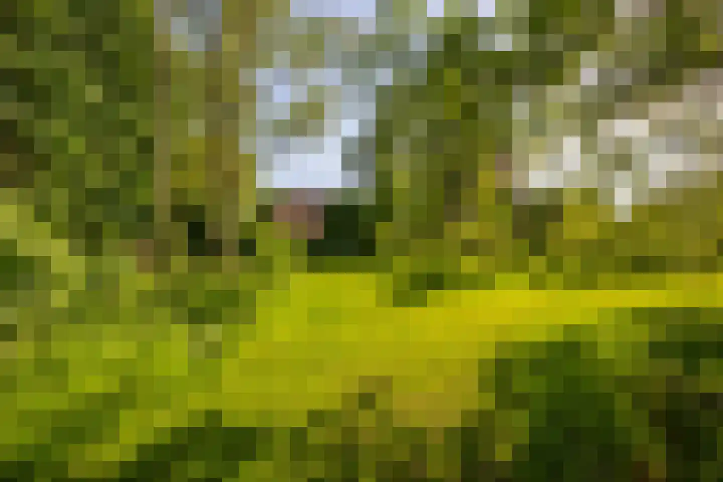 Jufferdijk 5 Harfsen thumbnail 65