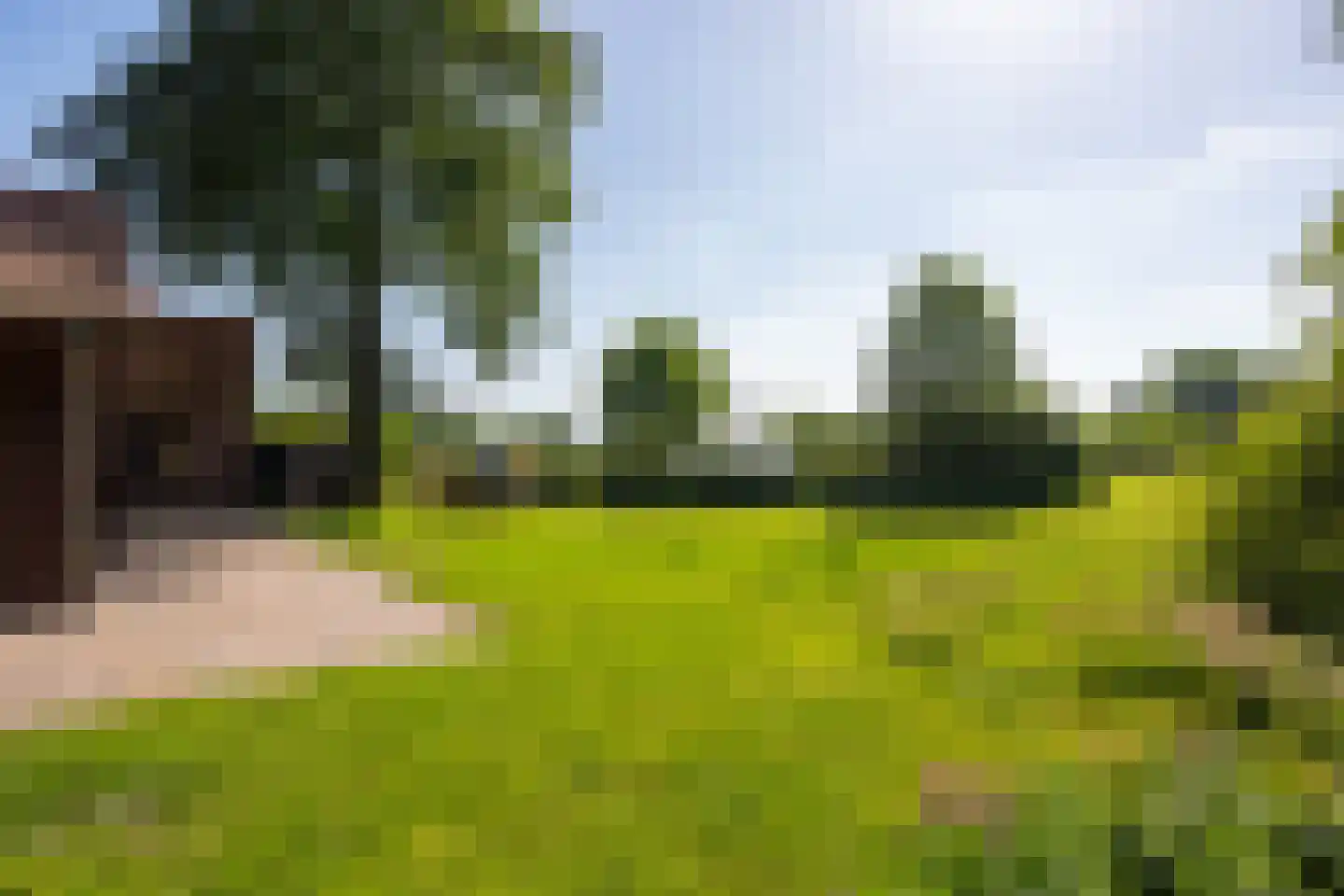 Jufferdijk 5 Harfsen thumbnail 66