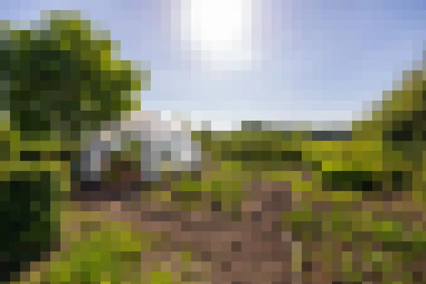 Jufferdijk 5 Harfsen thumbnail 67