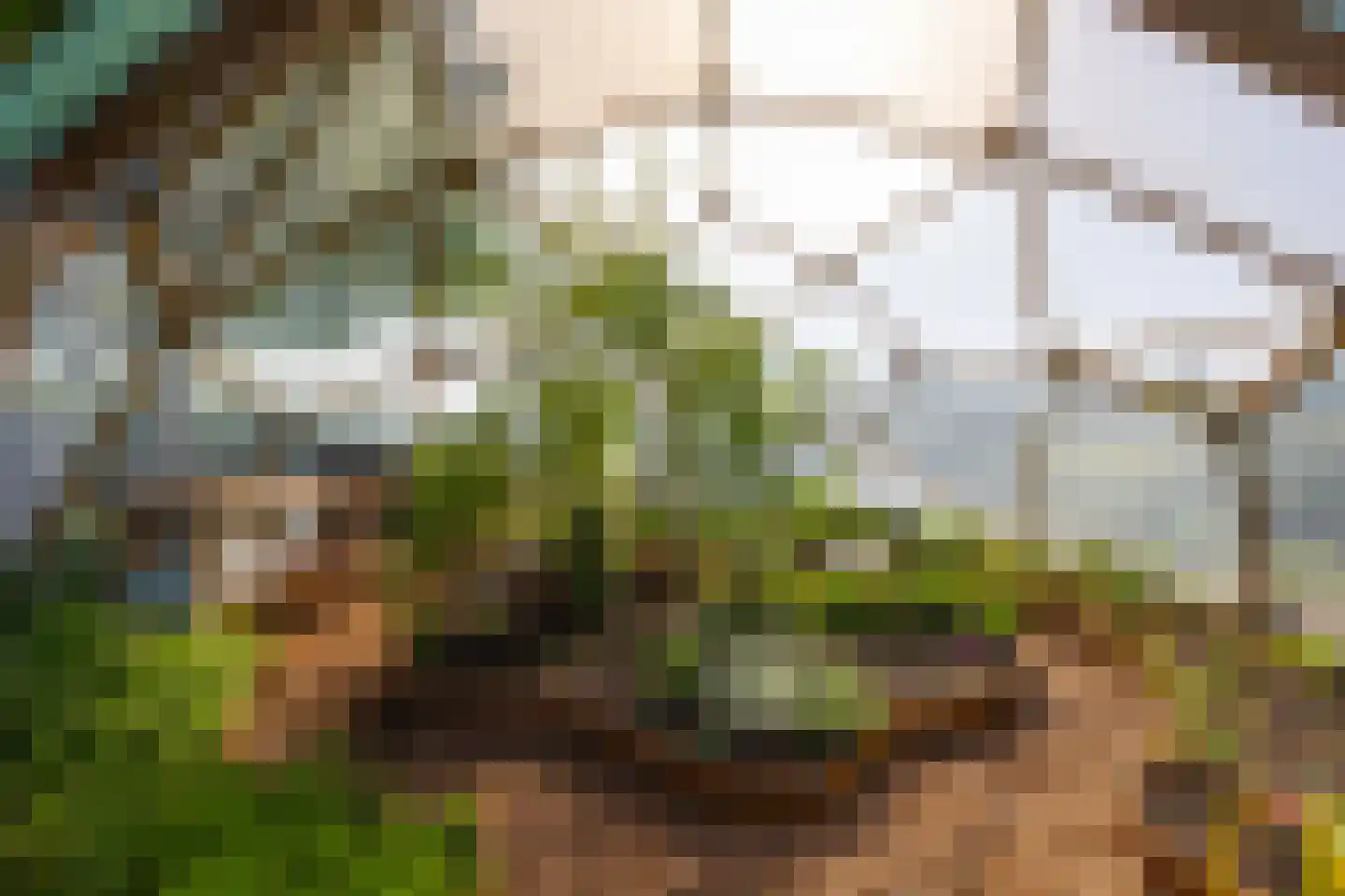 Jufferdijk 5 Harfsen thumbnail 68