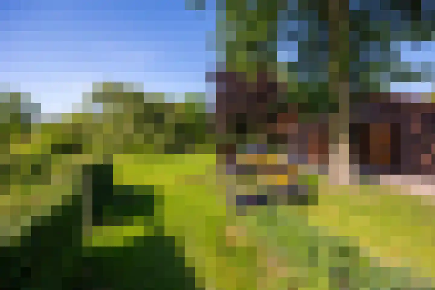 Jufferdijk 5 Harfsen thumbnail 69