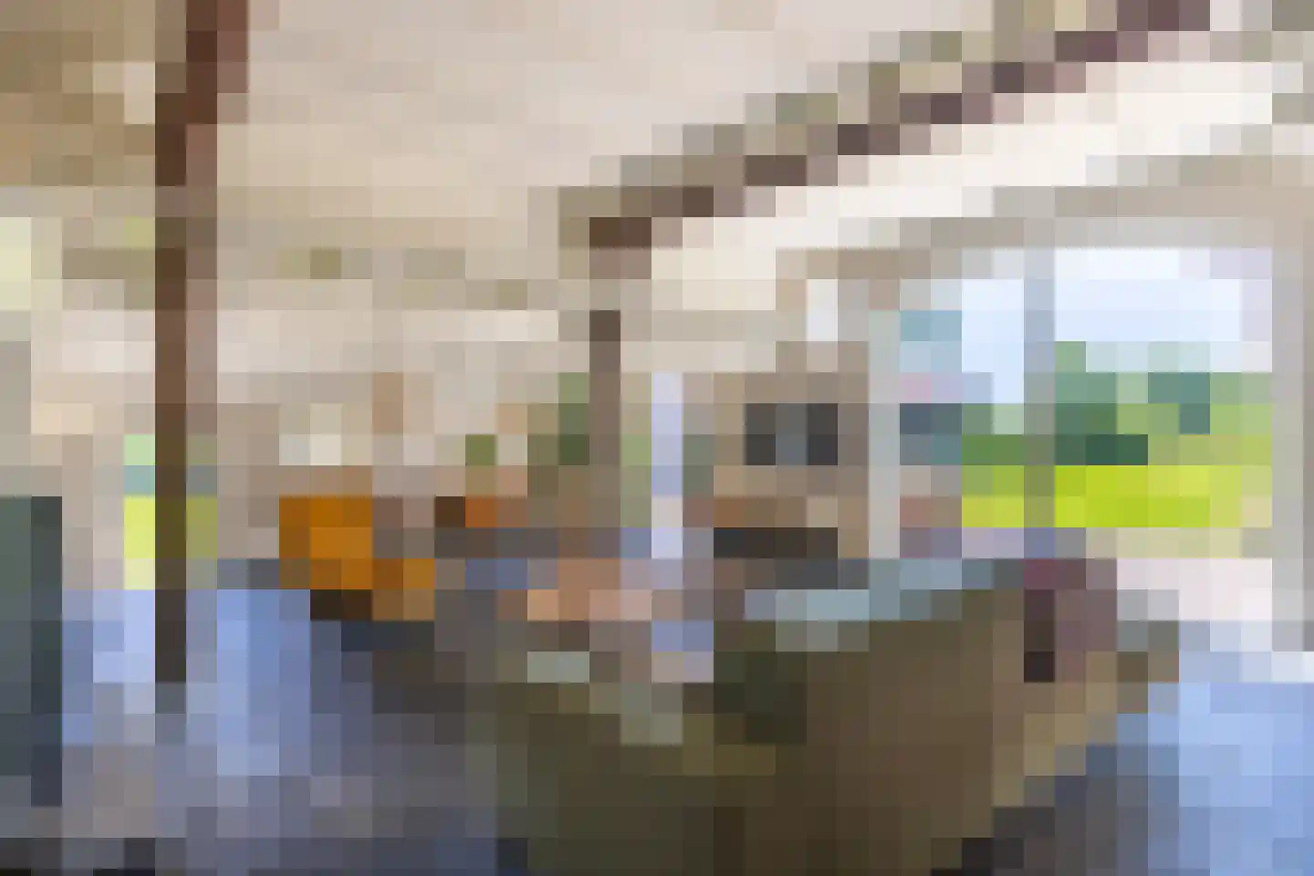 Jufferdijk 5 Harfsen thumbnail 7