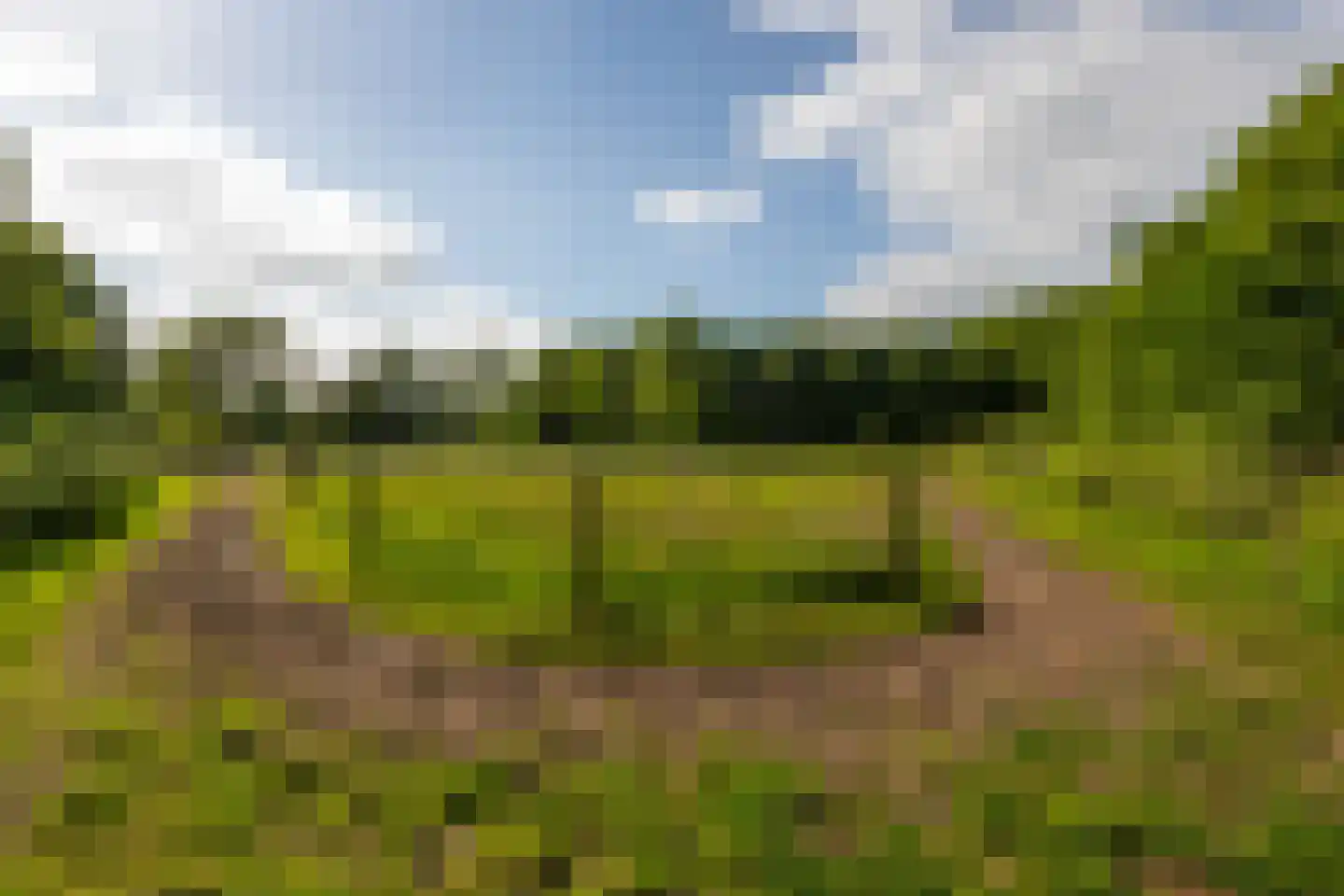 Jufferdijk 5 Harfsen thumbnail 70