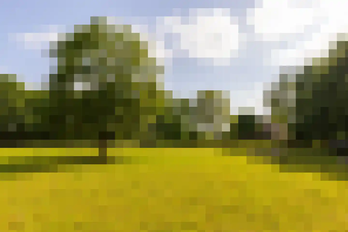Jufferdijk 5 Harfsen thumbnail 71