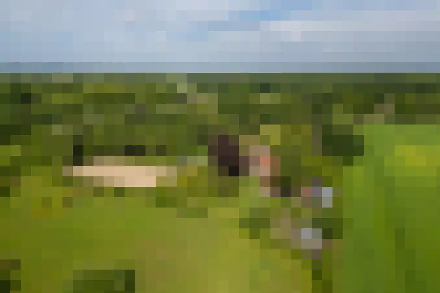 Jufferdijk 5 Harfsen thumbnail 72