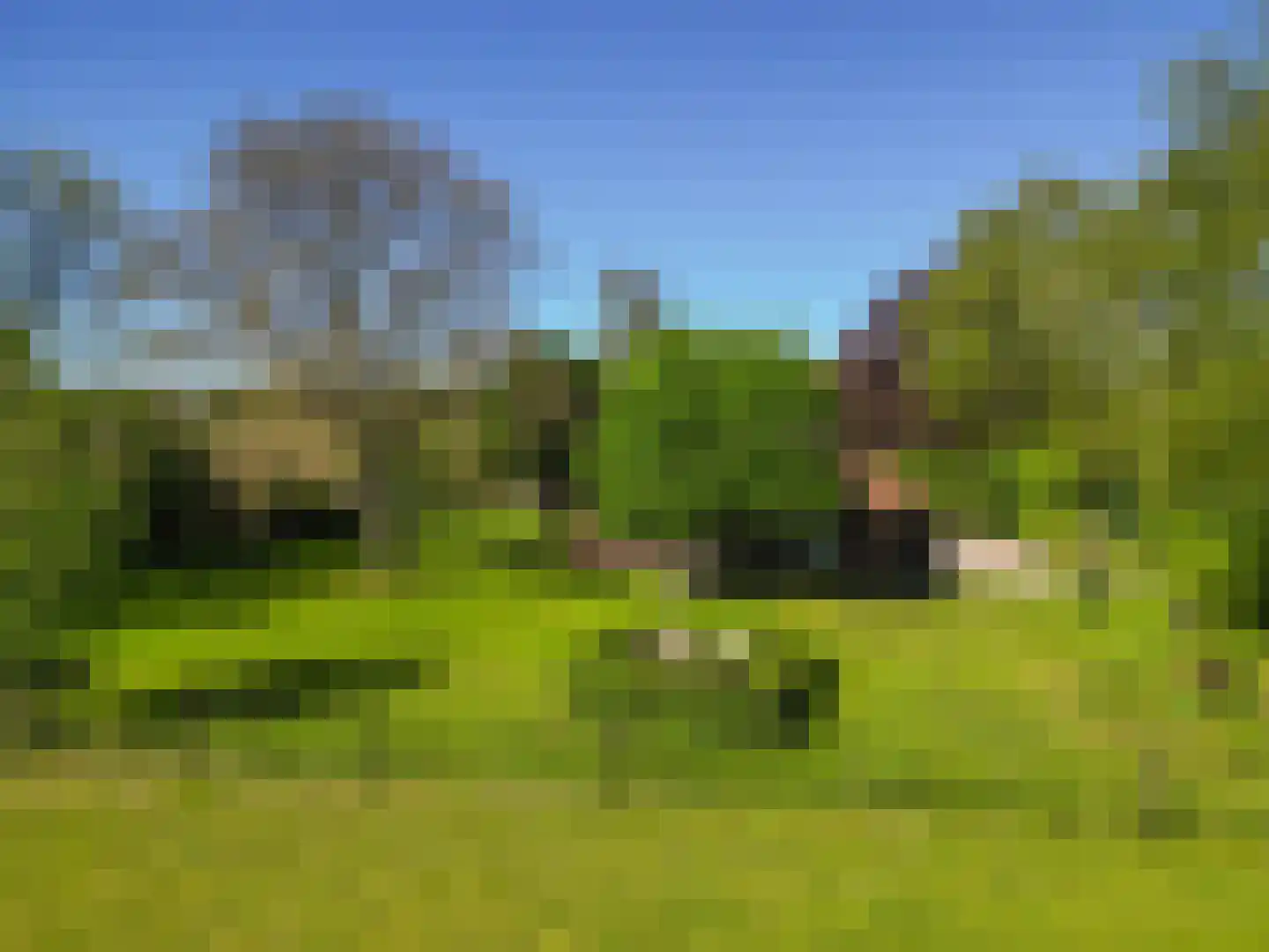 Jufferdijk 5 Harfsen thumbnail 75