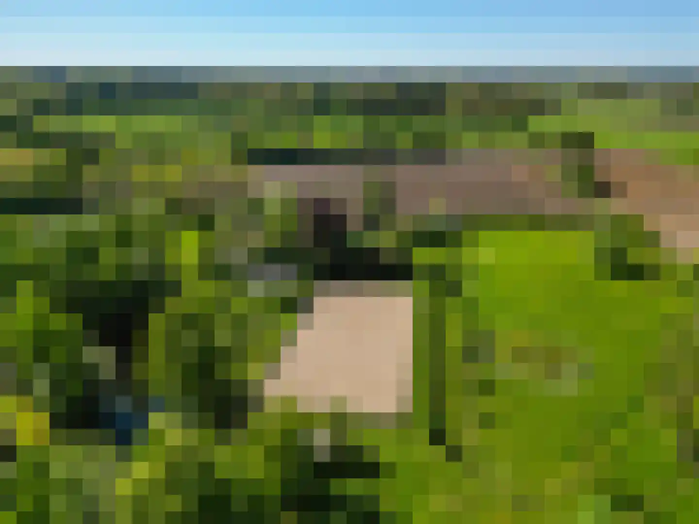 Jufferdijk 5 Harfsen thumbnail 77