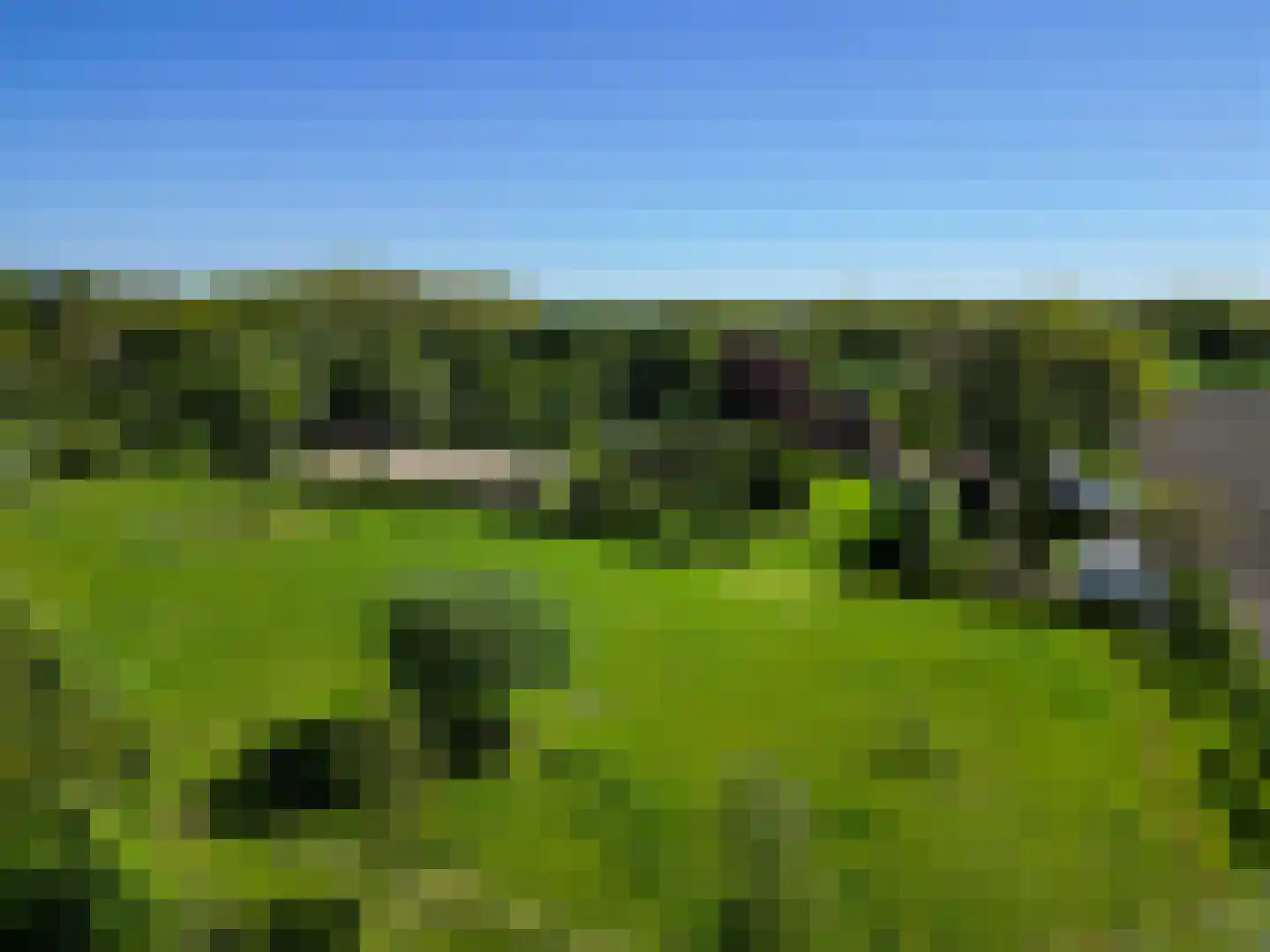 Jufferdijk 5 Harfsen thumbnail 78