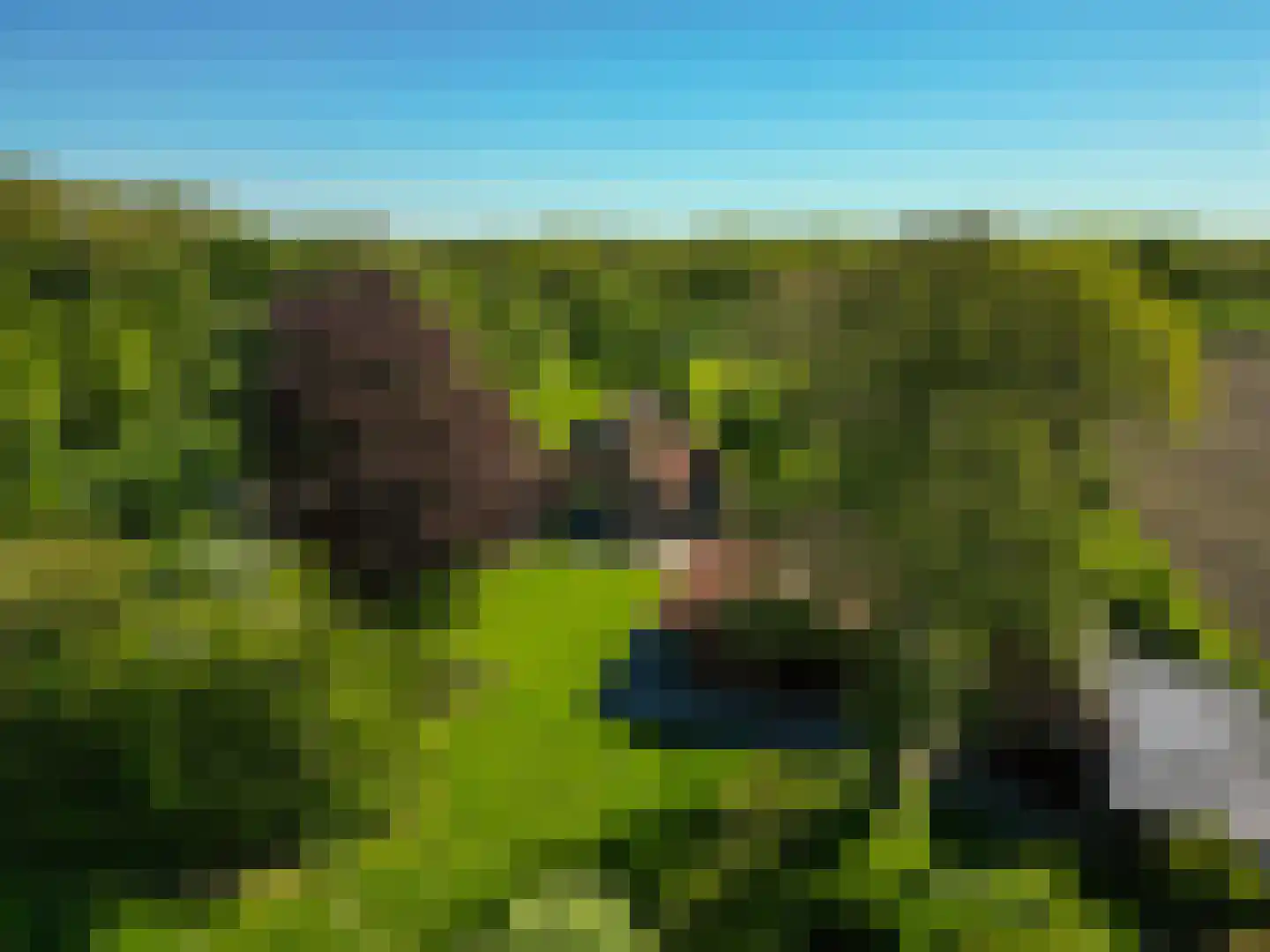 Jufferdijk 5 Harfsen thumbnail 79