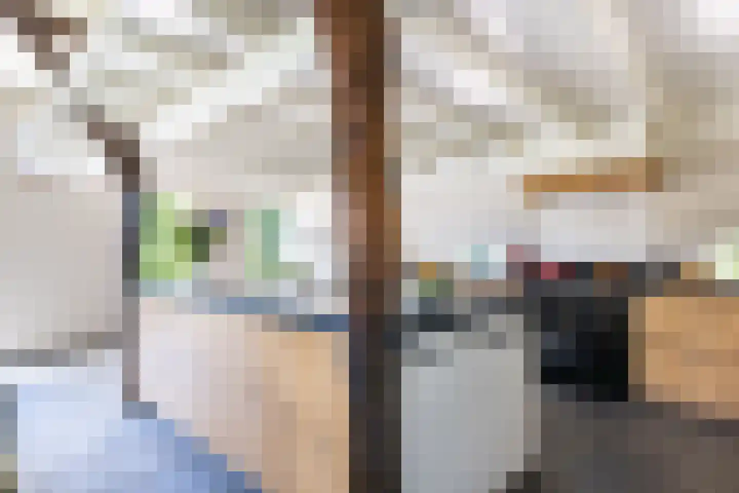 Jufferdijk 5 Harfsen thumbnail 8