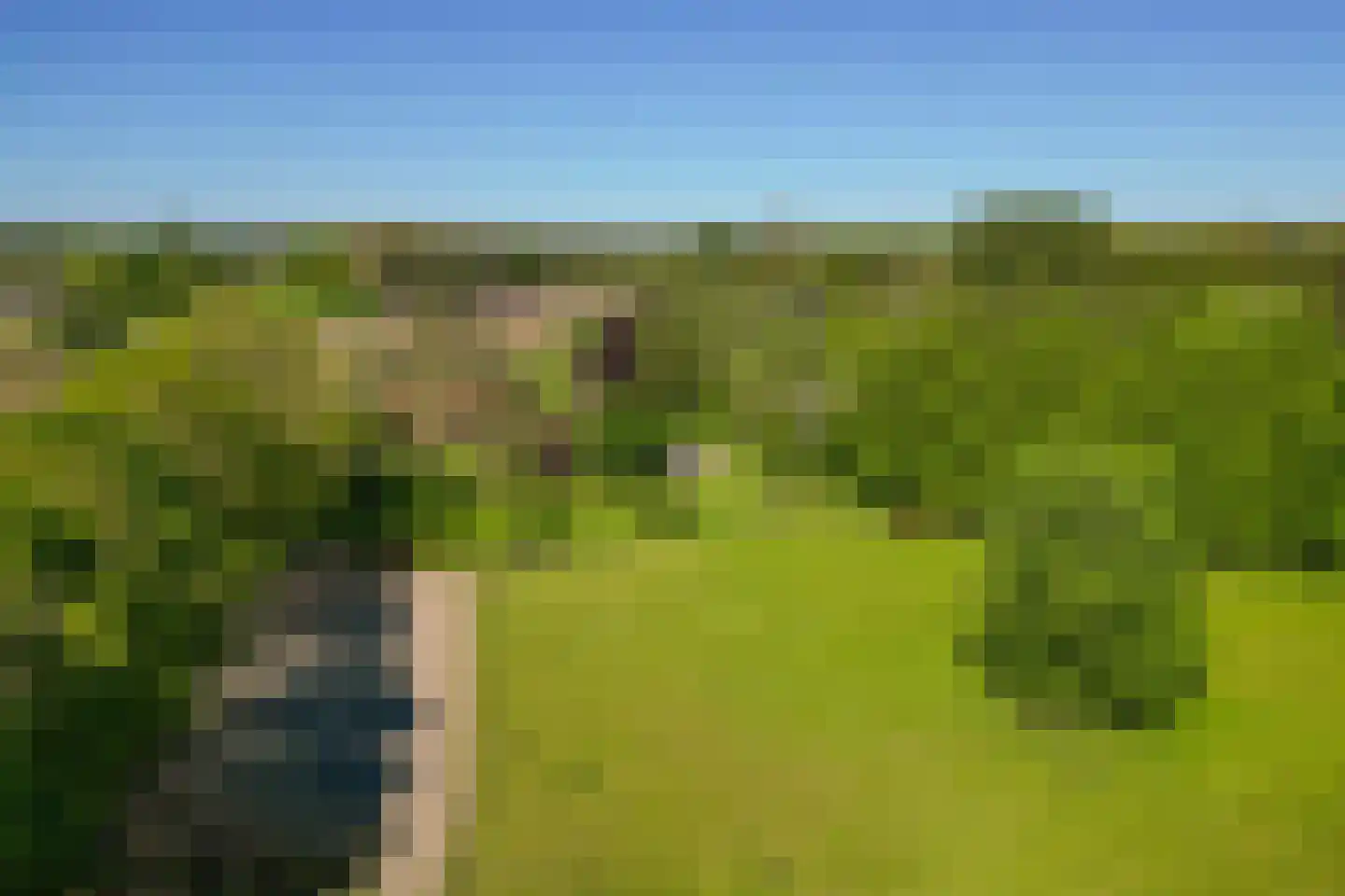 Jufferdijk 5 Harfsen thumbnail 80