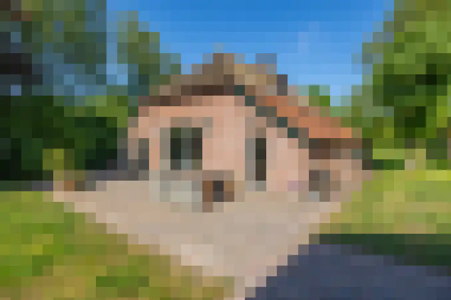 Jufferdijk 5 Harfsen thumbnail 81