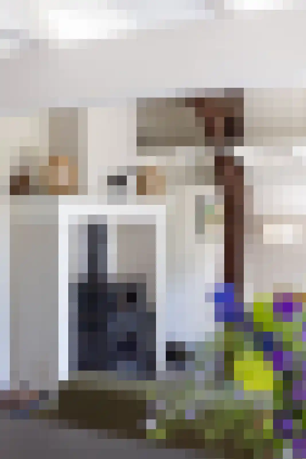Jufferdijk 5 Harfsen thumbnail 9