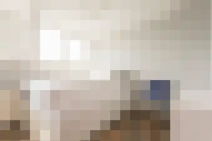 Jufferenpad 15 Meppel thumbnail 22