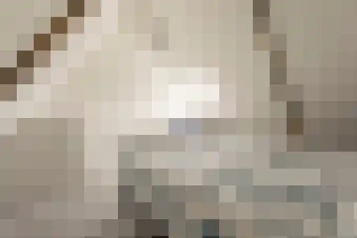 Jufferenpad 15 Meppel thumbnail 30