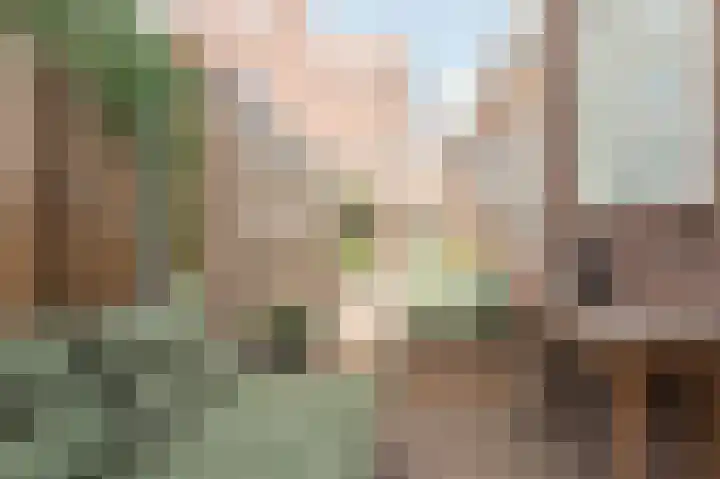 Jufferenpad 15 Meppel thumbnail 31