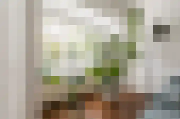 Jufferenpad 15 Meppel thumbnail 7
