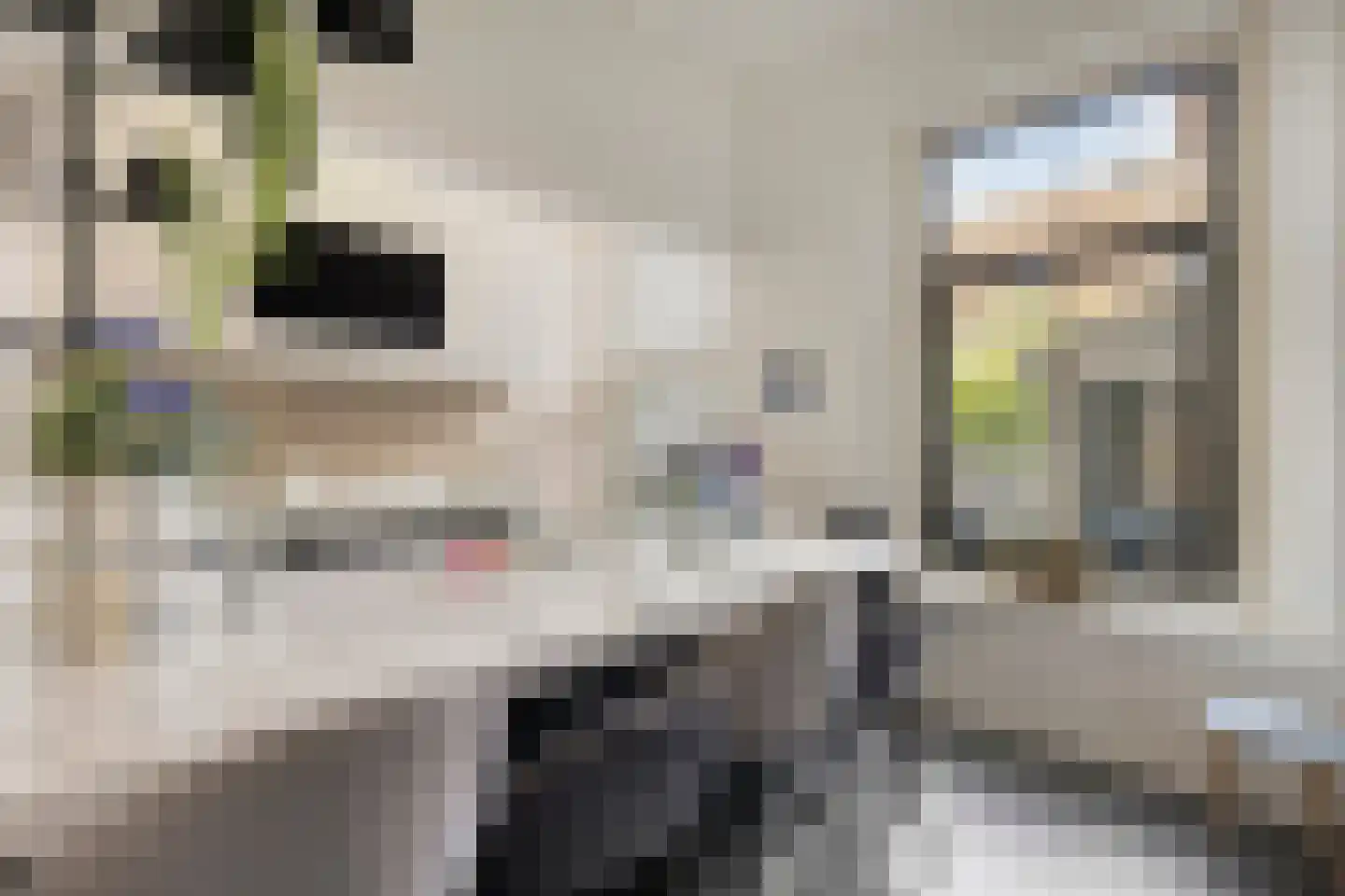 Jufferenstraat 17 Elburg thumbnail 14