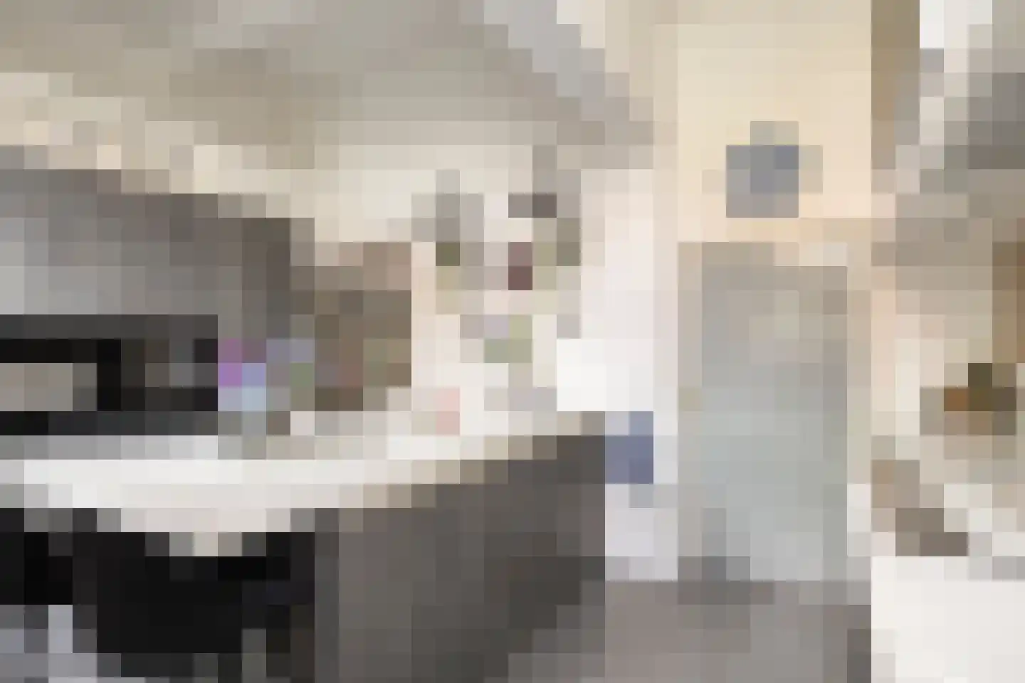 Jufferenstraat 17 Elburg thumbnail 16