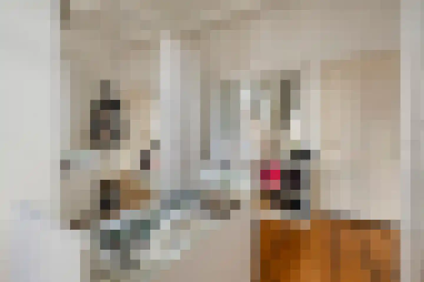 Jufferenstraat 17 Elburg thumbnail 24