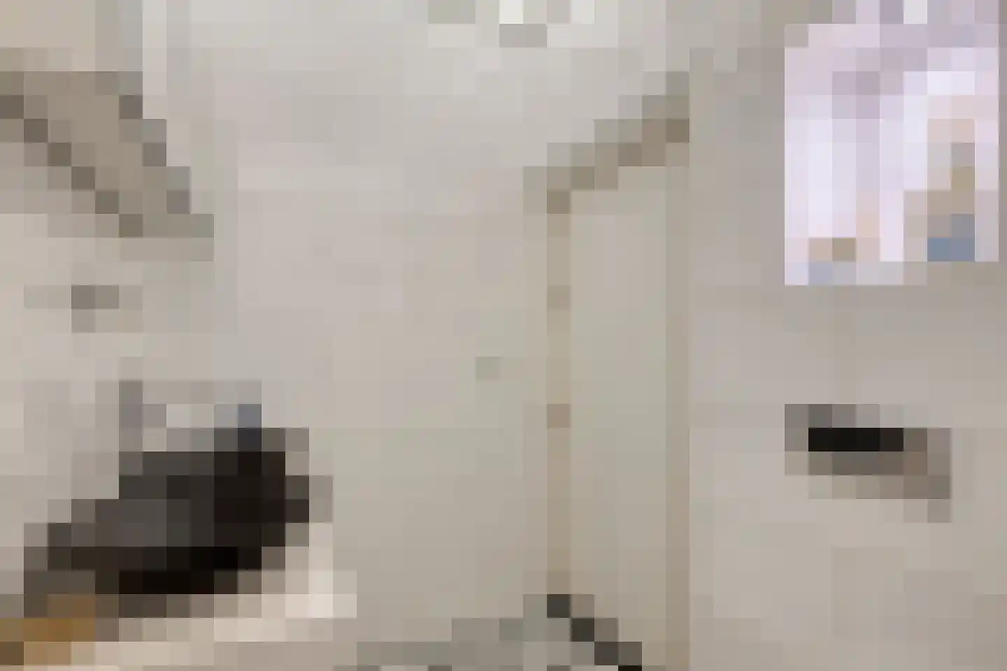 Jufferenstraat 17 Elburg thumbnail 30