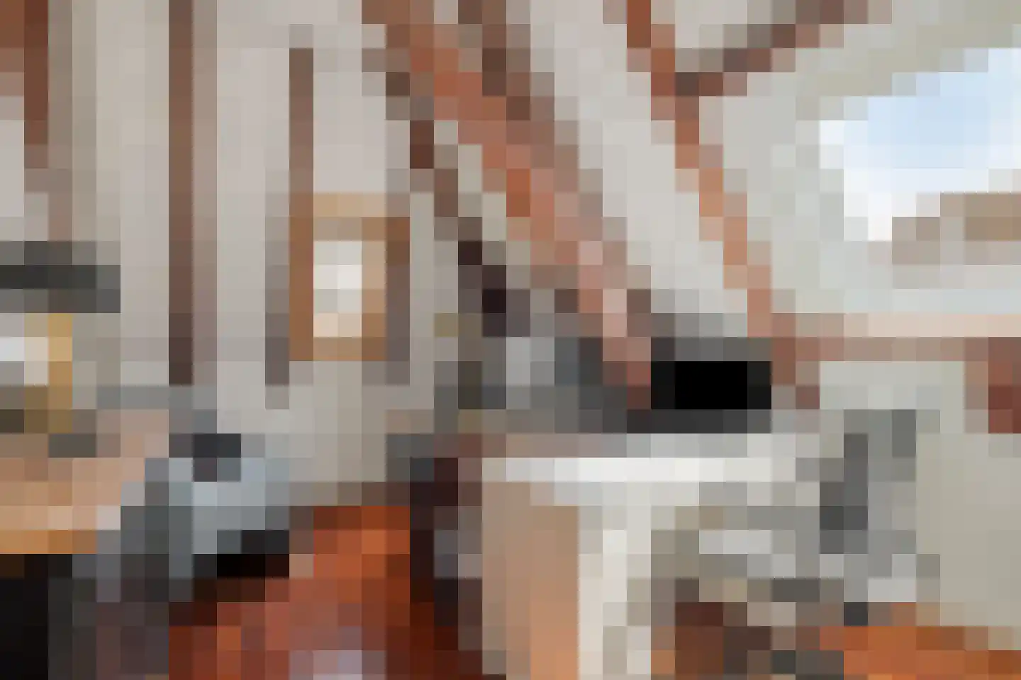 Jufferenstraat 17 Elburg thumbnail 34