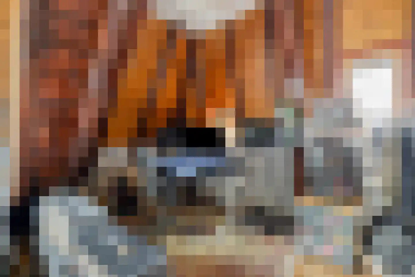 Jufferenstraat 17 Elburg thumbnail 39
