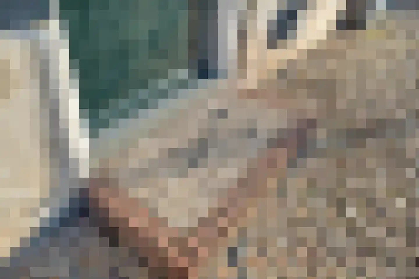 Jufferenstraat 7 Elburg thumbnail 12