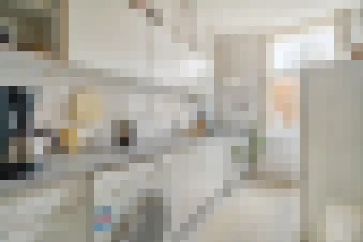 Jufferenstraat 7 Elburg thumbnail 21