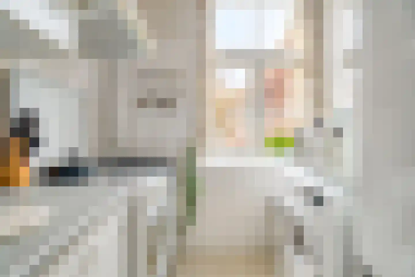 Jufferenstraat 7 Elburg thumbnail 22