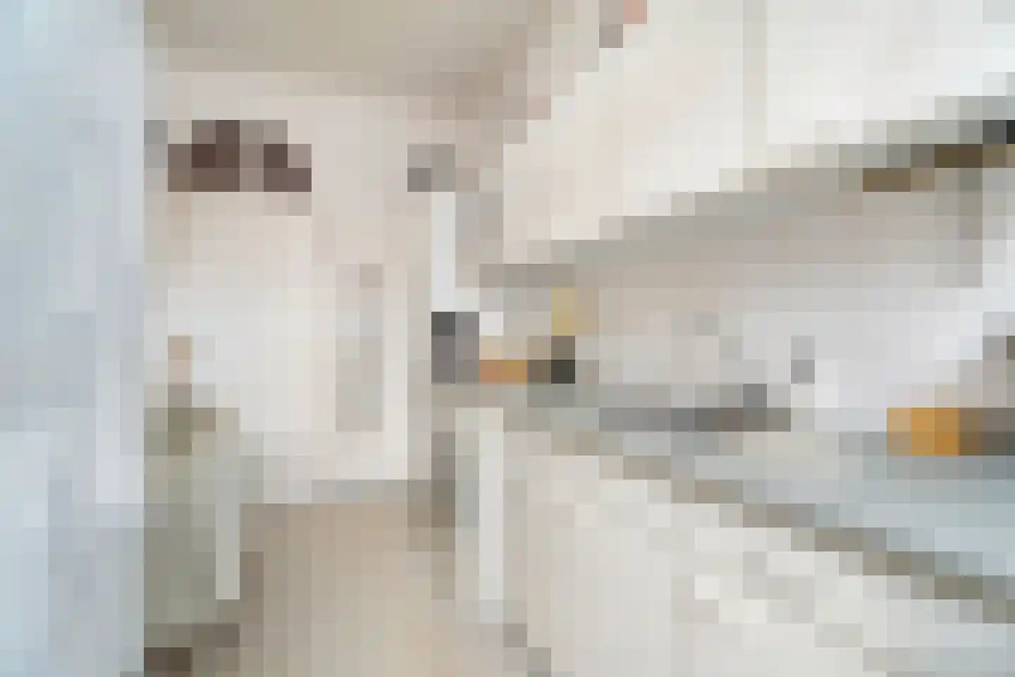 Jufferenstraat 7 Elburg thumbnail 23