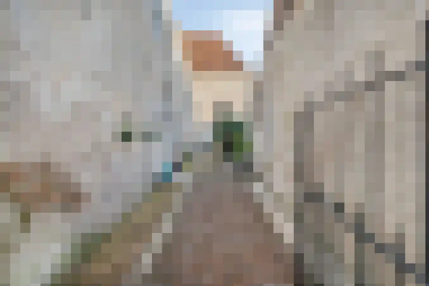 Jufferenstraat 7 Elburg thumbnail 51